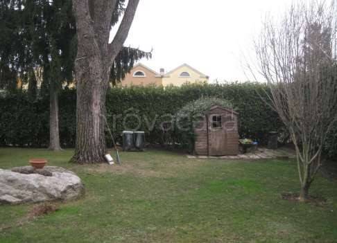 immagine annuncio 8 di 15