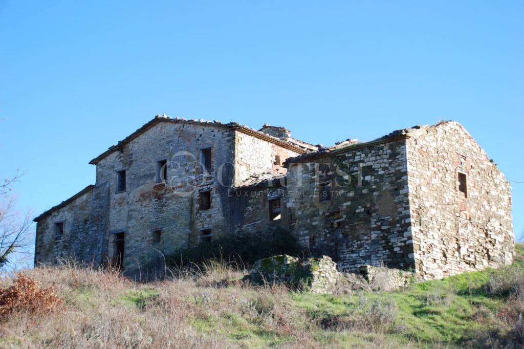immagine annuncio 4 di 6