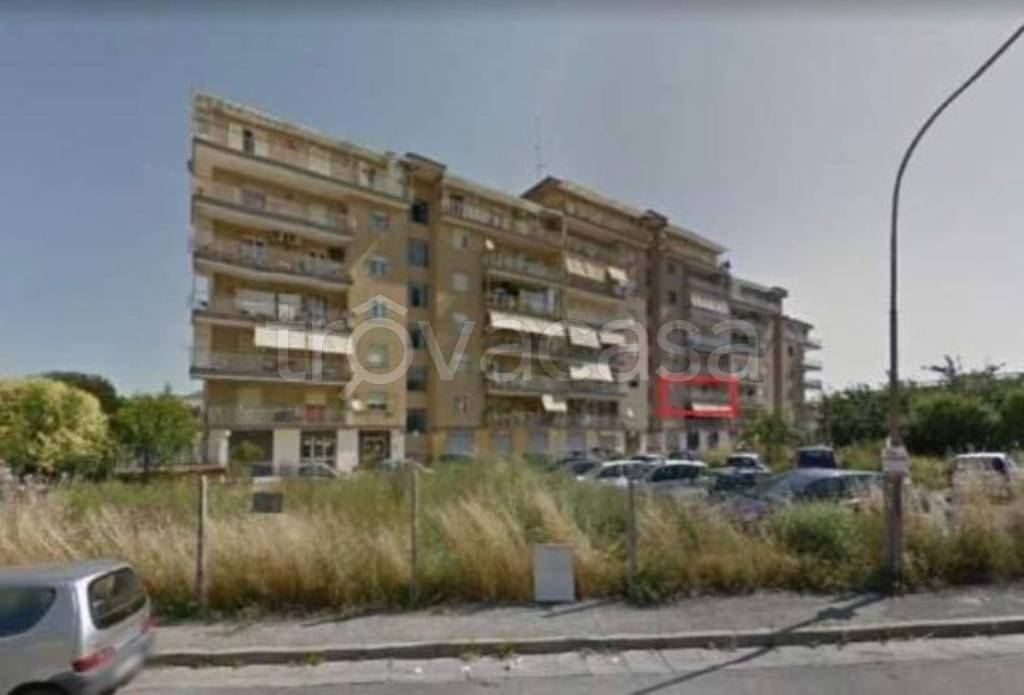 immagine annuncio 9 di 11