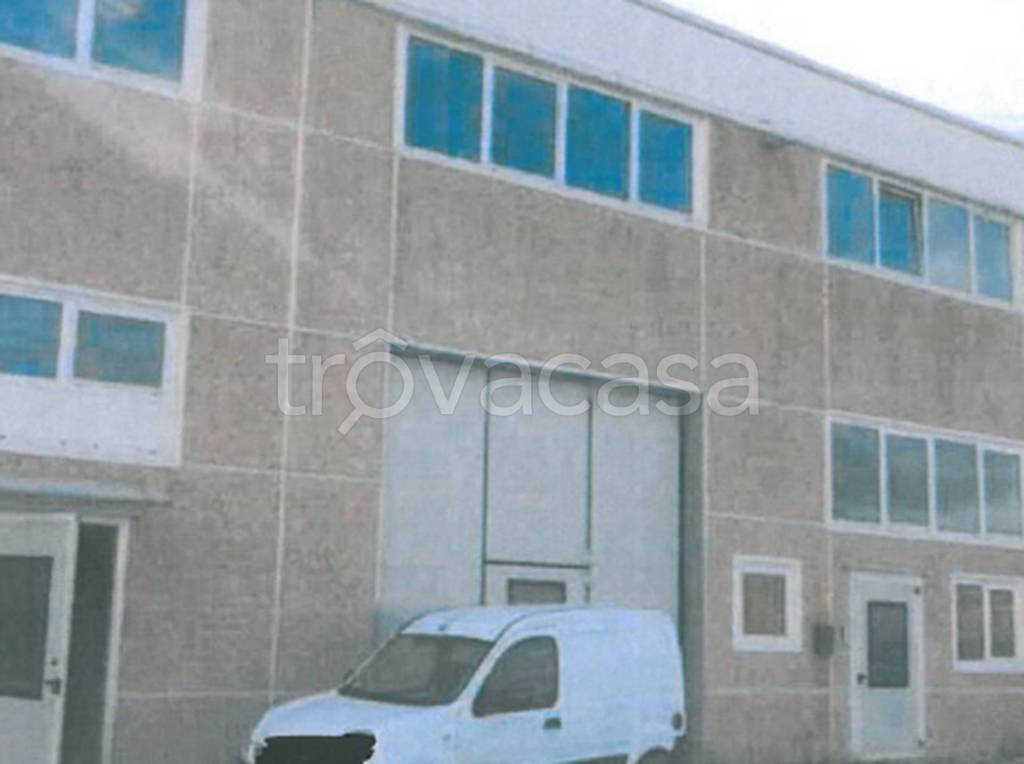 immagine annuncio 11 di 13