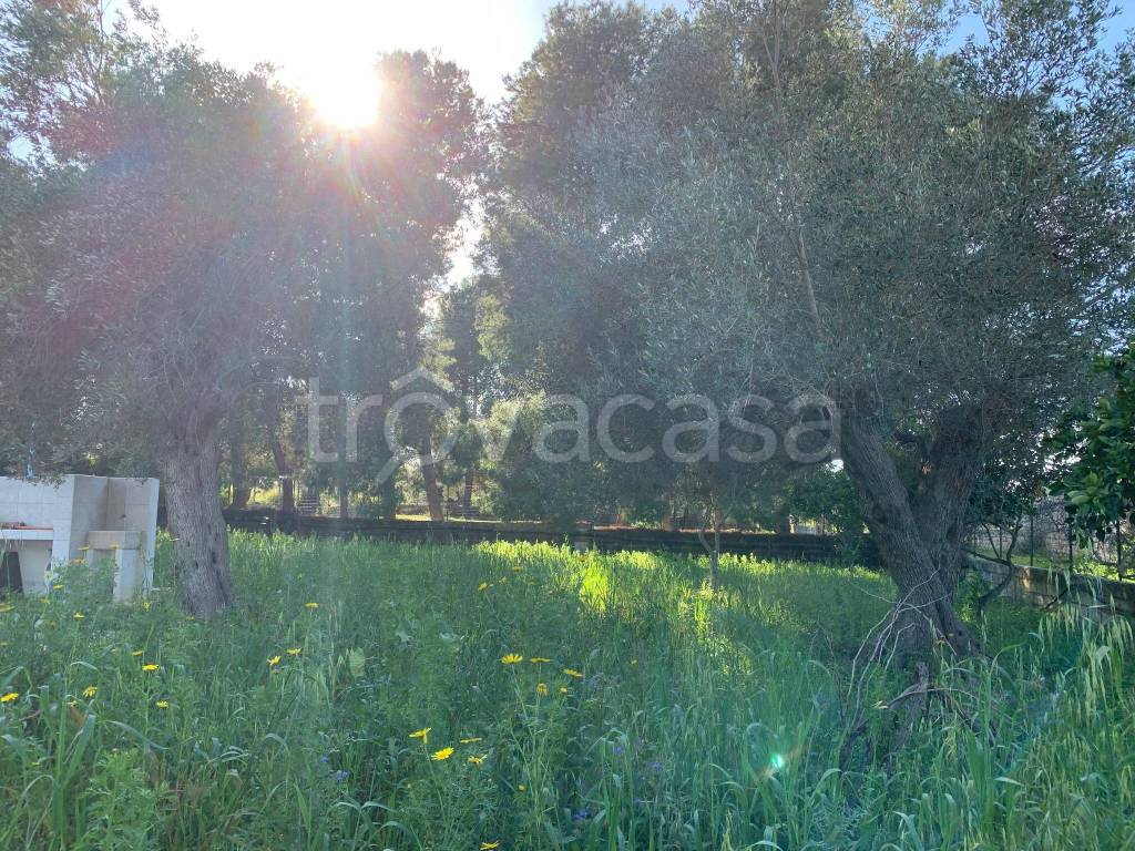 immagine annuncio 11 di 13