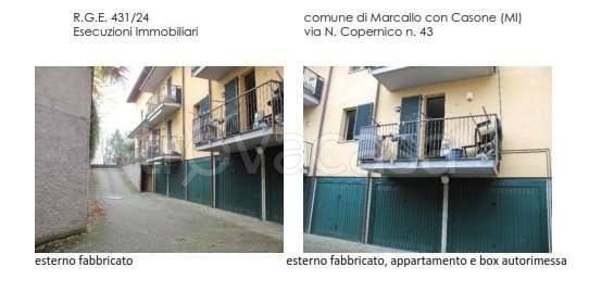 immagine annuncio 6 di 15