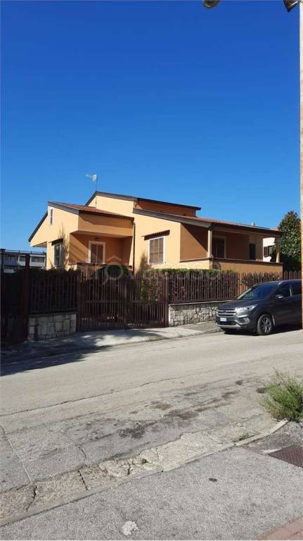 immagine annuncio 2 di 4