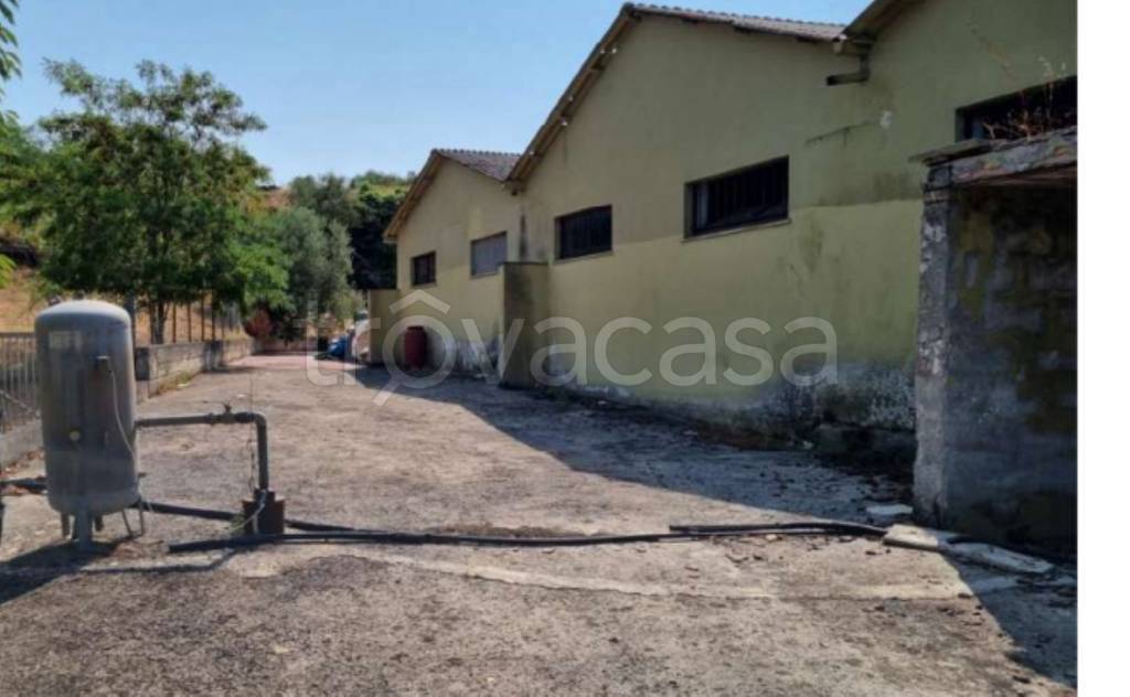 immagine annuncio 7 di 13