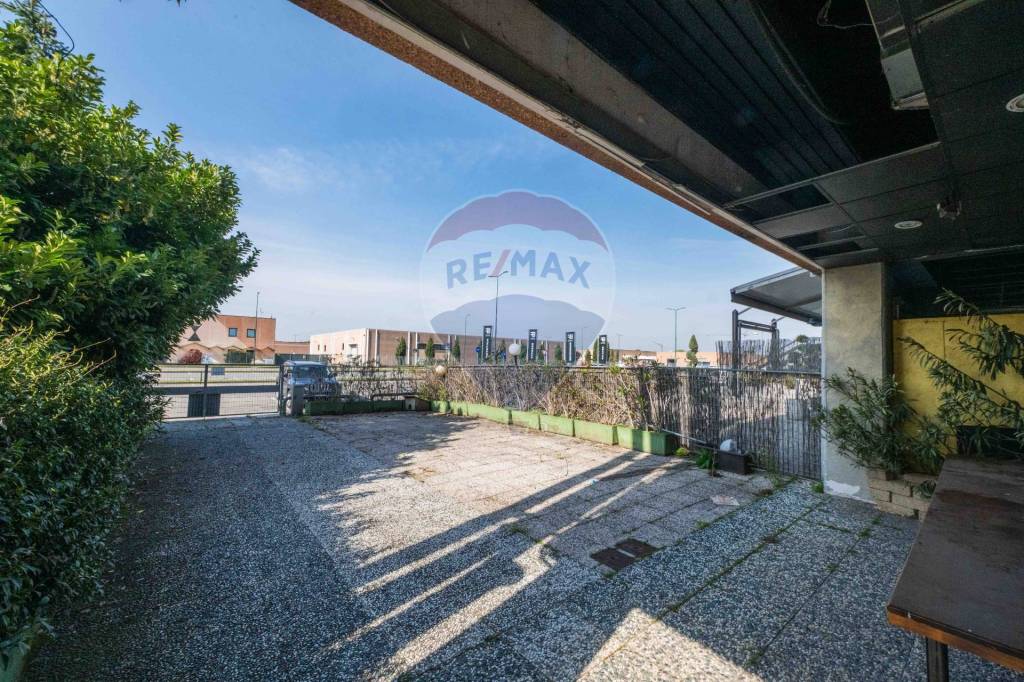 immagine annuncio 9 di 14