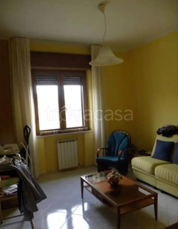 immagine annuncio 7 di 12