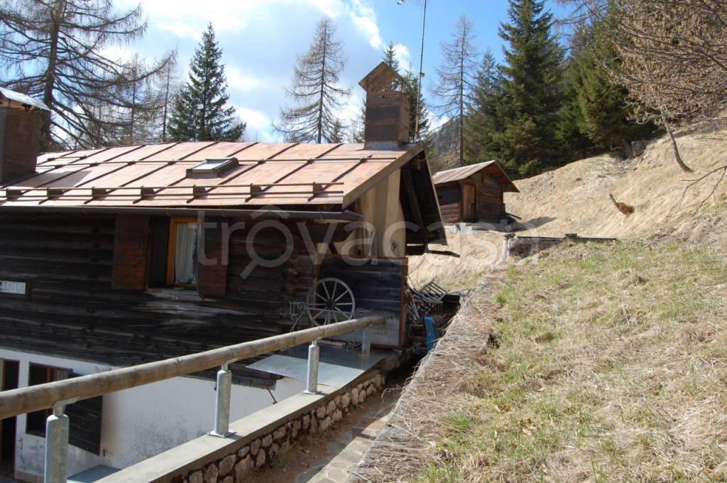 immagine annuncio 13 di 14