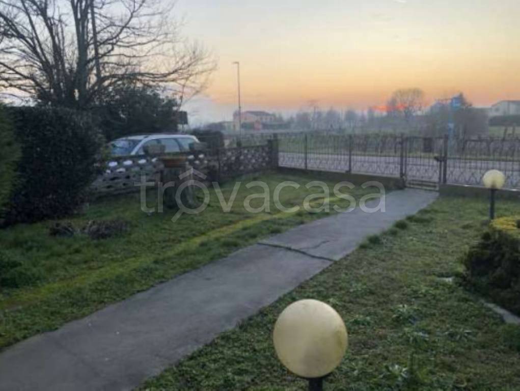 immagine annuncio 5 di 11