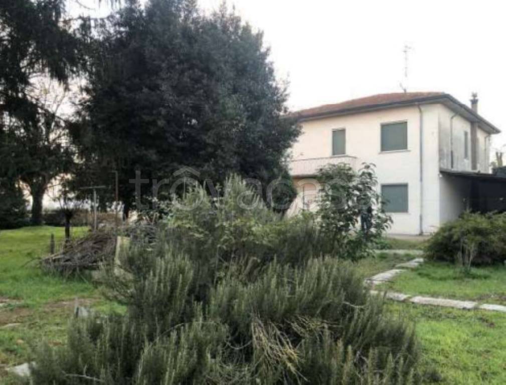 immagine annuncio 8 di 11