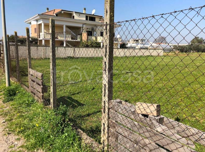 immagine annuncio 2 di 12