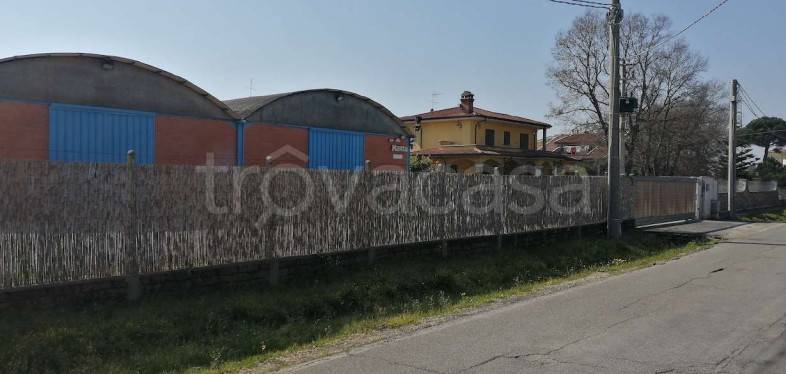 immagine annuncio 5 di 12