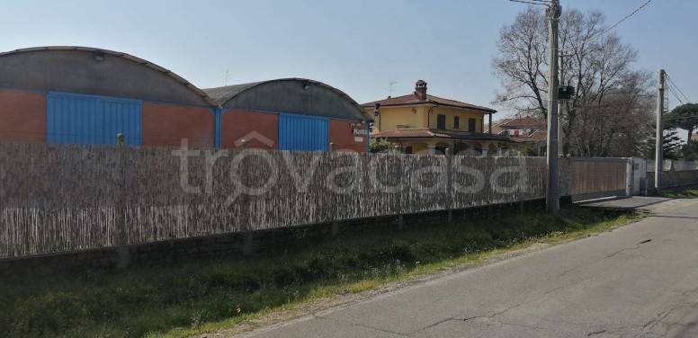 immagine annuncio 6 di 12