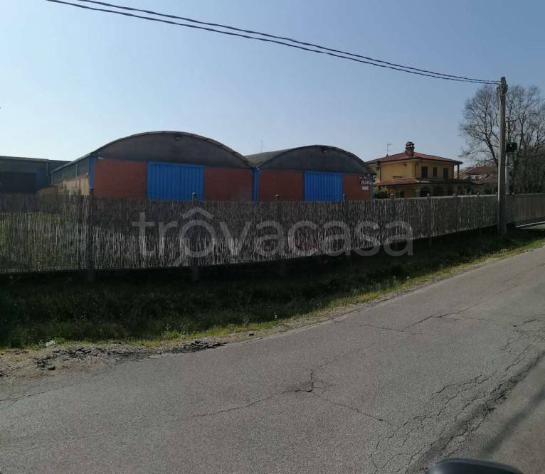 immagine annuncio 11 di 12