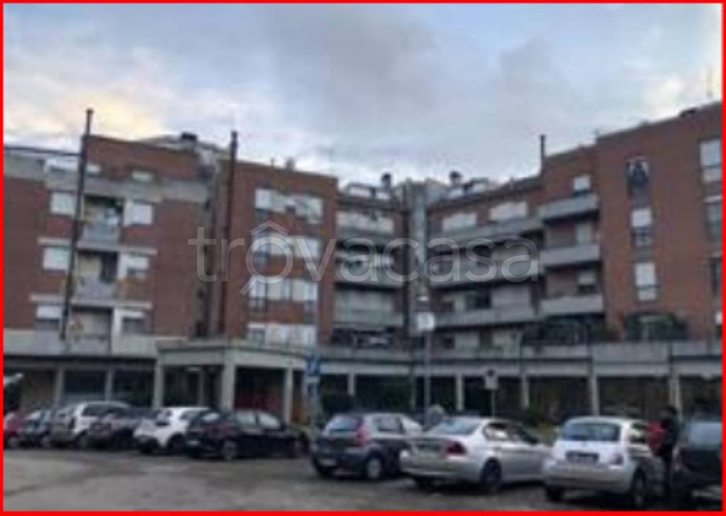 immagine annuncio 2 di 12