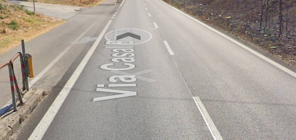 immagine annuncio 2 di 13