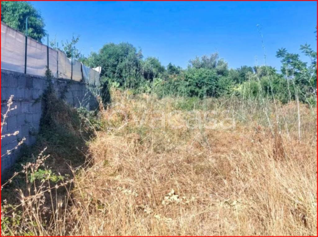 immagine annuncio 8 di 12