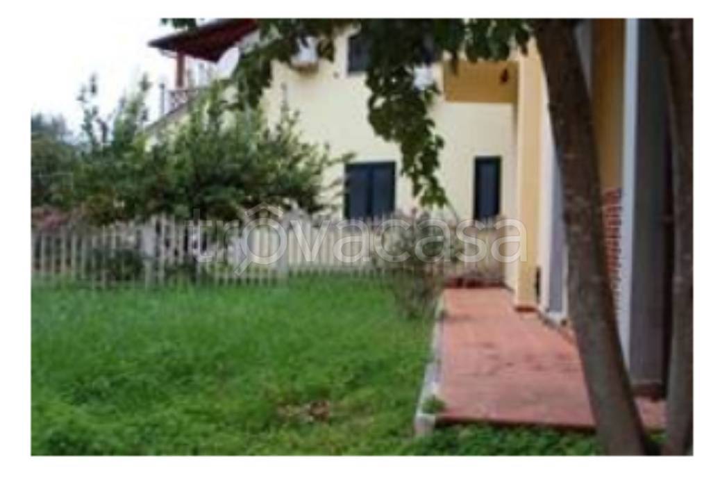 immagine annuncio 2 di 14