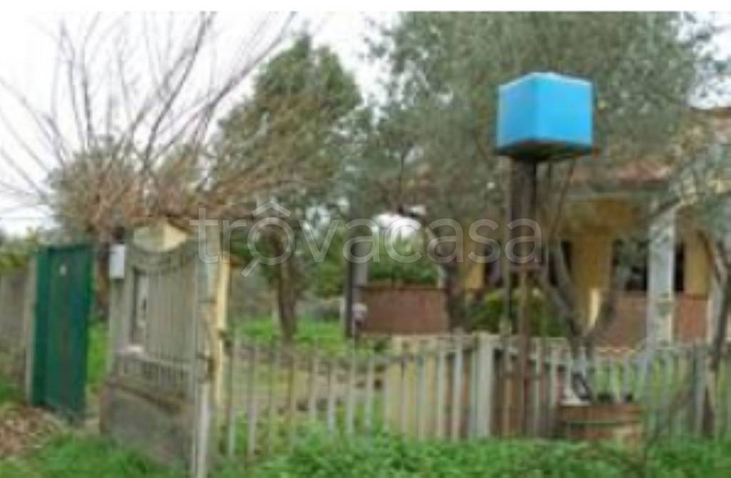 immagine annuncio 7 di 14