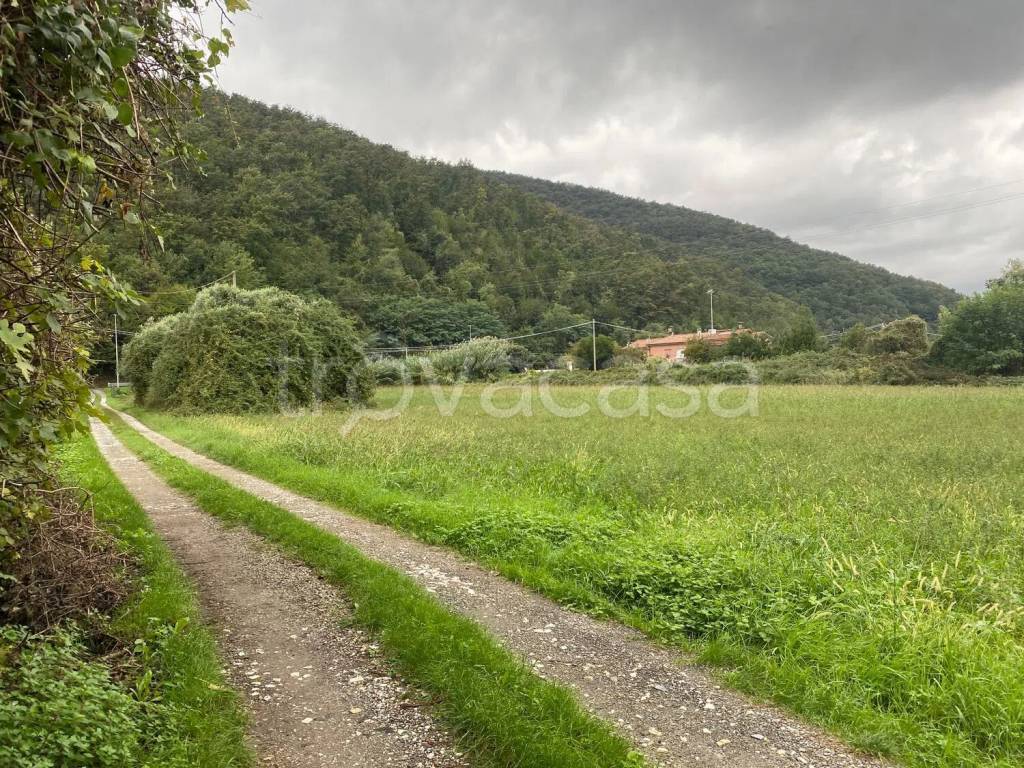 immagine annuncio 12 di 13