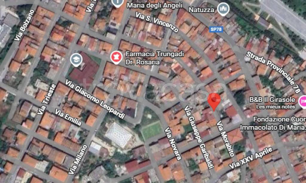 immagine annuncio 9 di 11