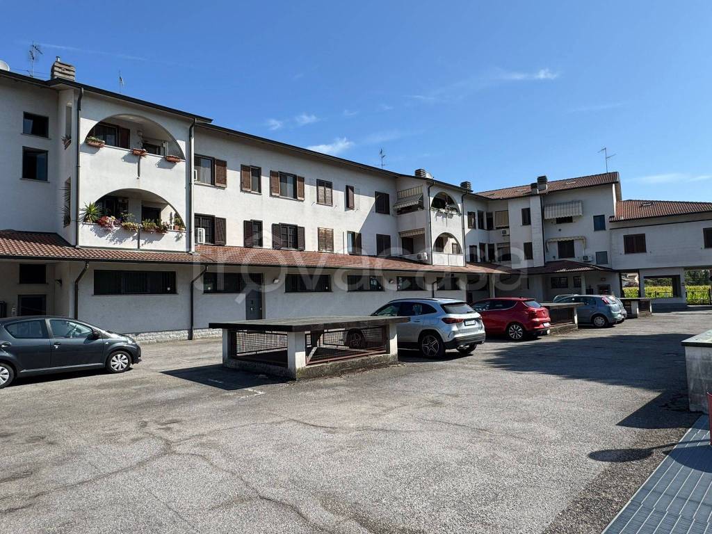 immagine annuncio 5 di 9
