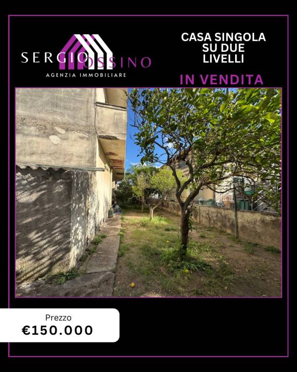 immagine annuncio 11 di 14