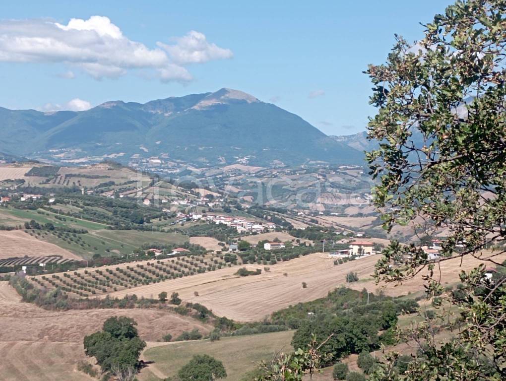 immagine annuncio 2 di 14