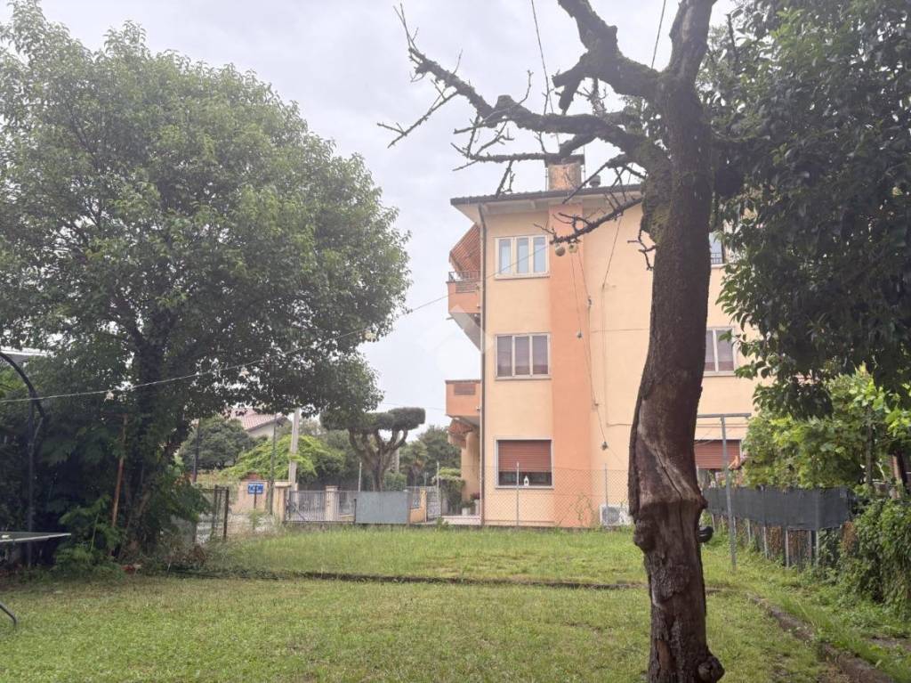 immagine annuncio 5 di 14