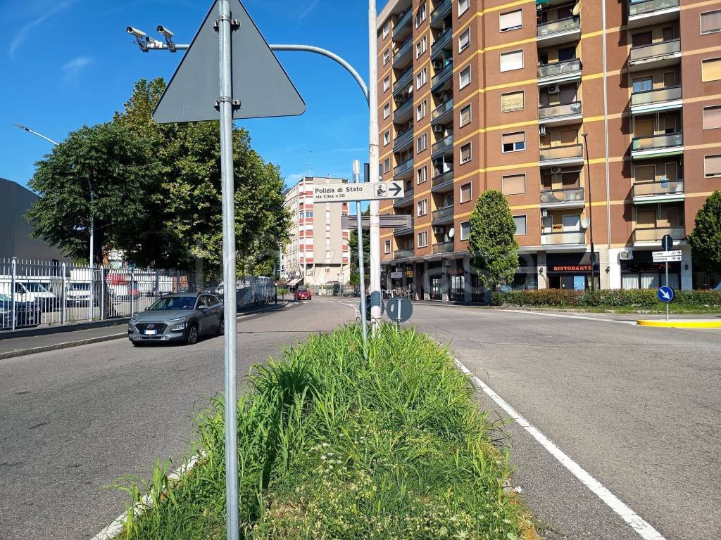 immagine annuncio 9 di 13