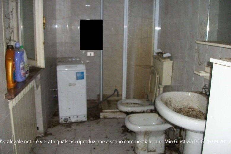 immagine annuncio 9 di 14