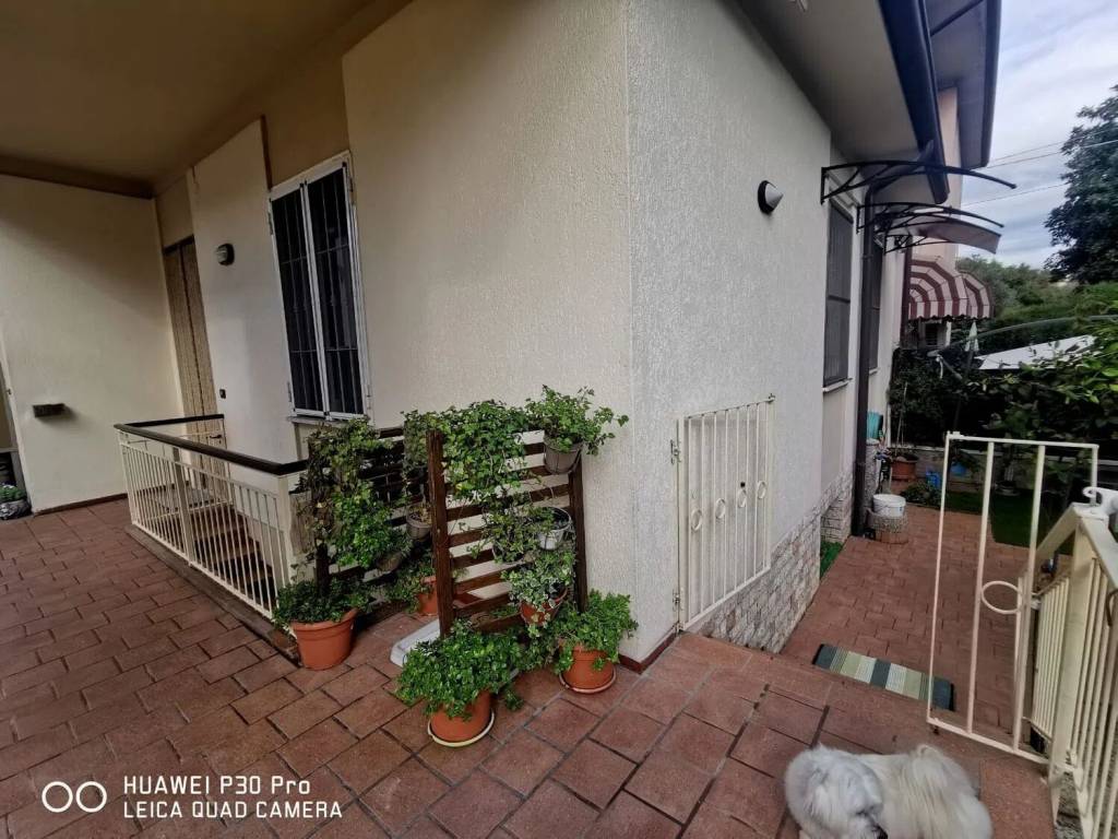 immagine annuncio 5 di 15