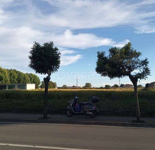 immagine annuncio 1 di 2