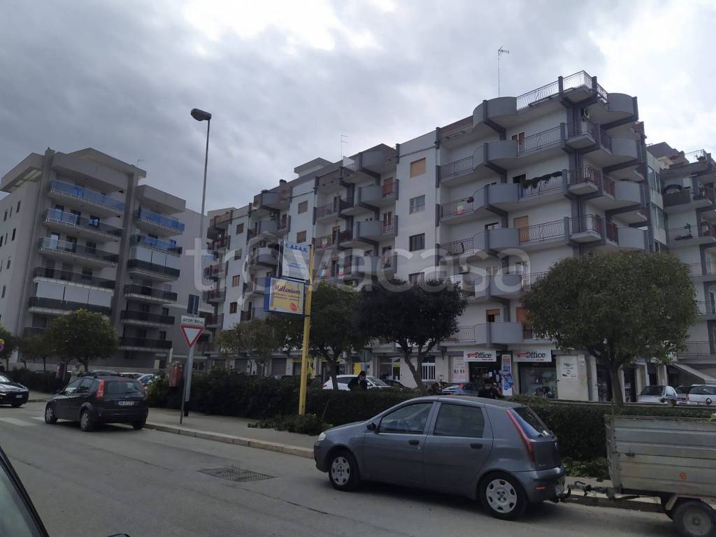 immagine annuncio 5 di 7