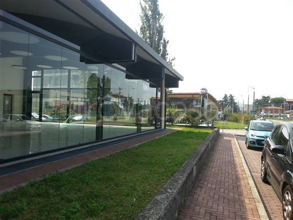 immagine annuncio 11 di 14