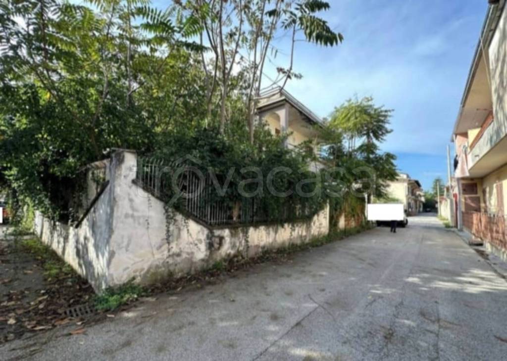 immagine annuncio 9 di 12