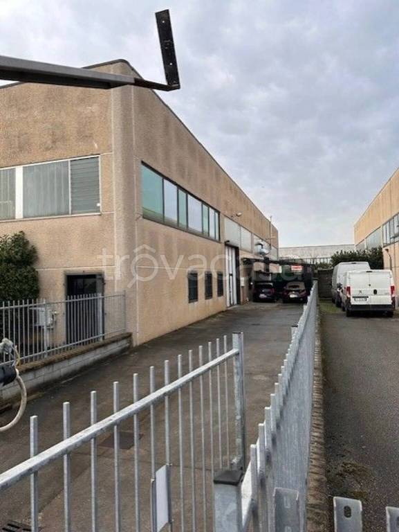 immagine annuncio 6 di 12