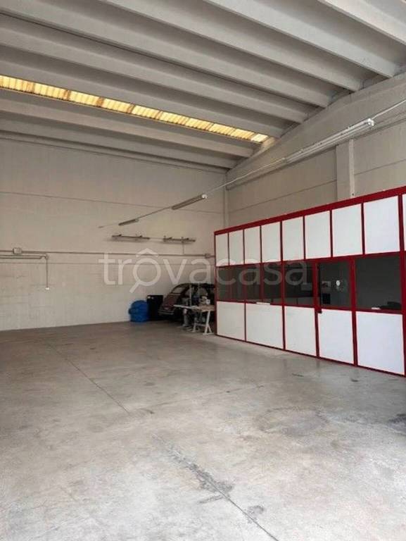 immagine annuncio 9 di 12