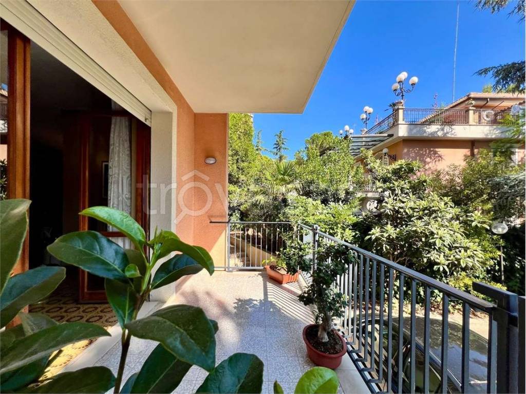 immagine annuncio 6 di 12