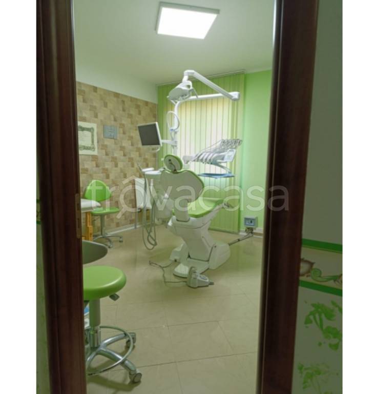 immagine annuncio 10 di 14