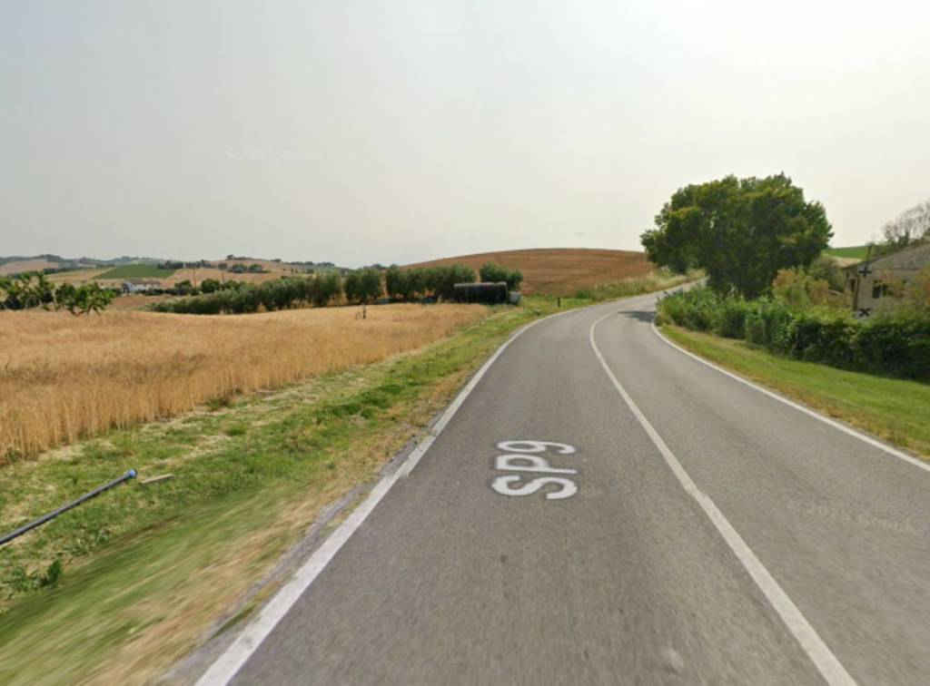 immagine annuncio 3 di 10