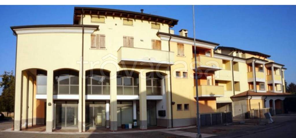 immagine annuncio 7 di 13