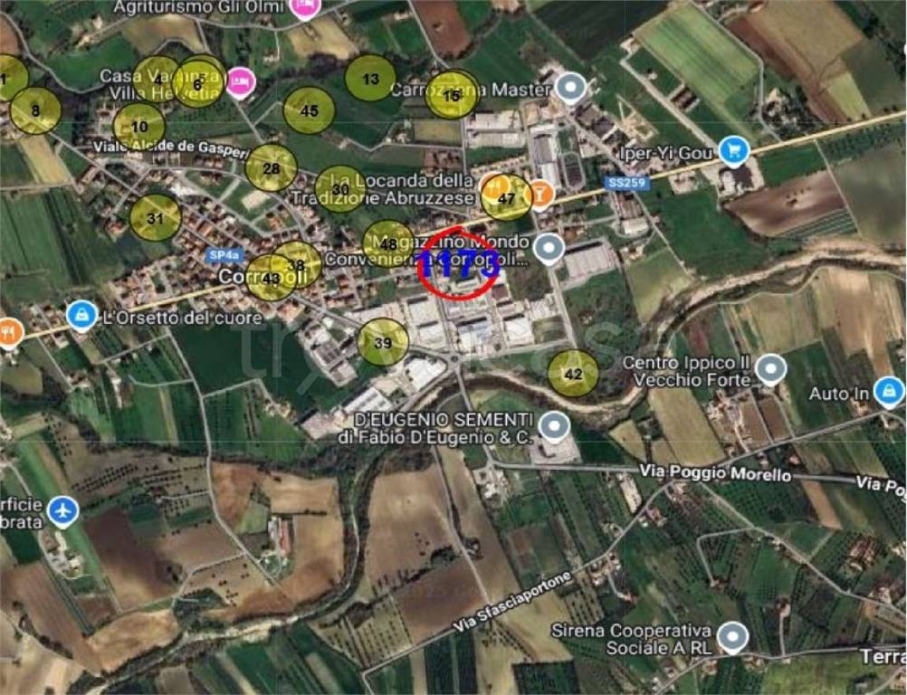 immagine annuncio 12 di 15