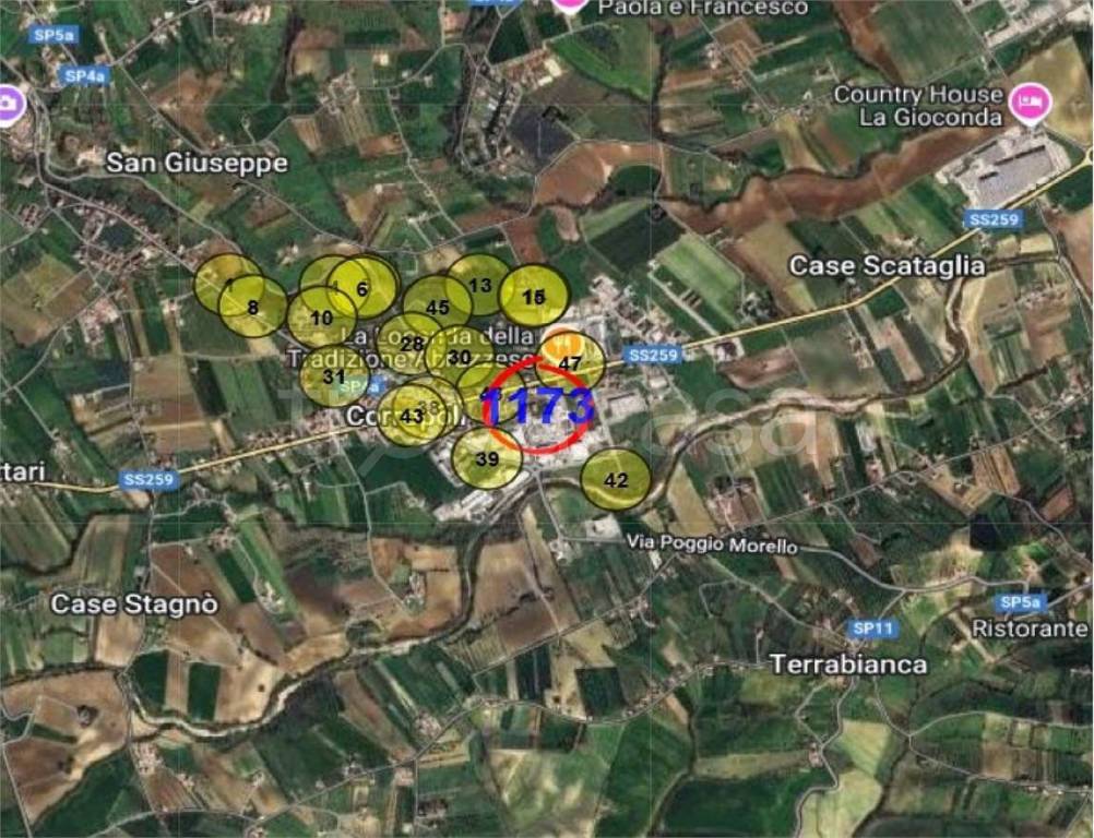 immagine annuncio 11 di 15