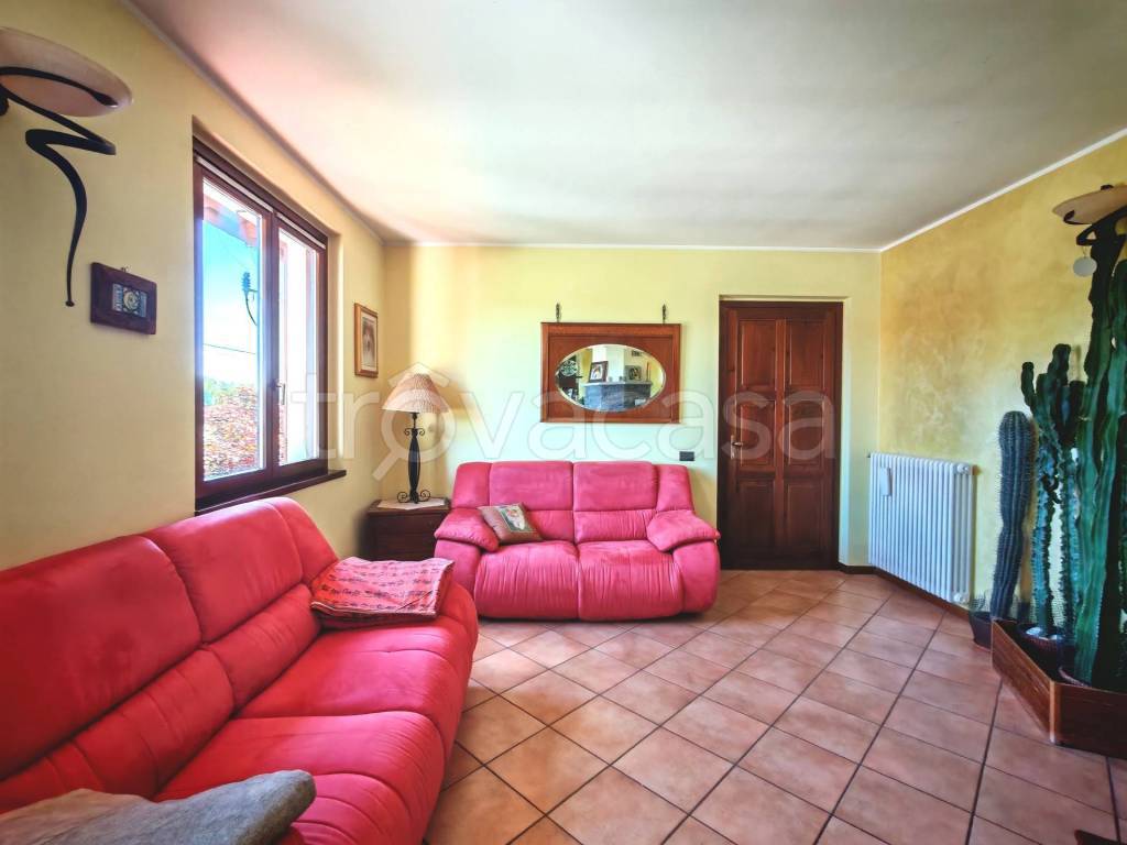 immagine annuncio 10 di 15