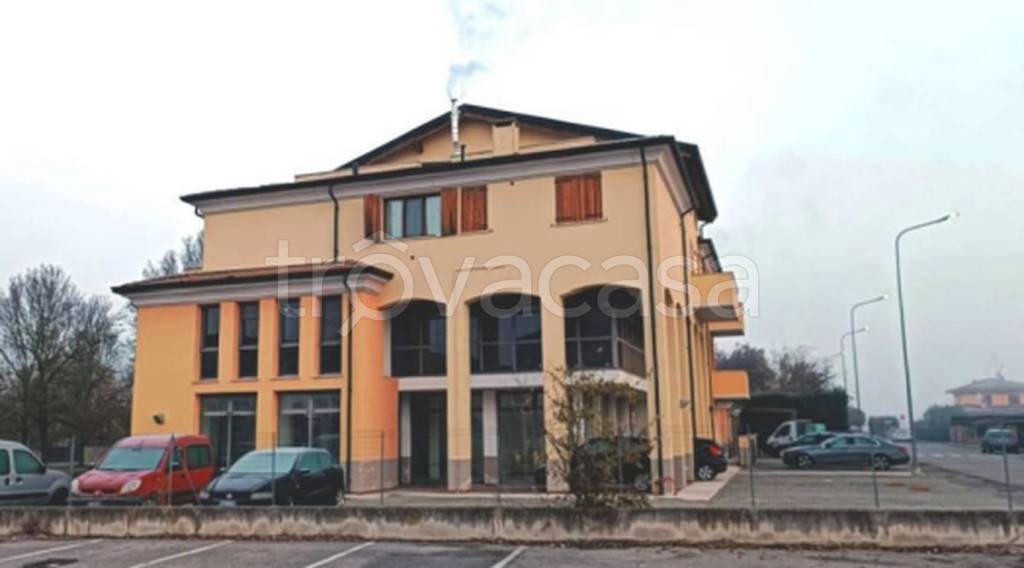 immagine annuncio 3 di 11