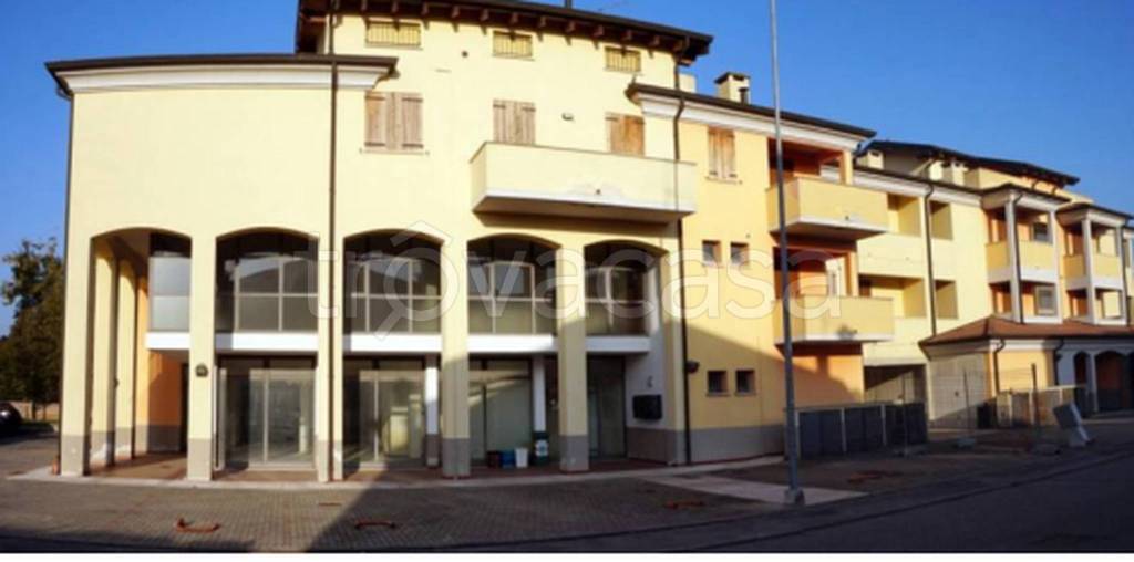 immagine annuncio 6 di 11