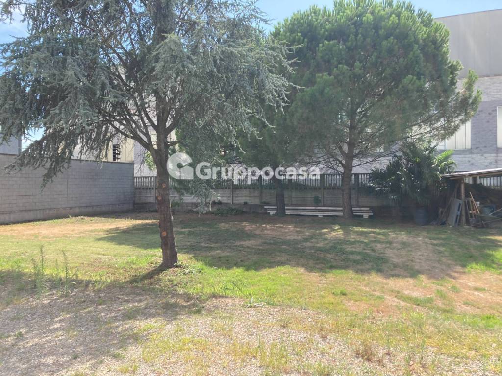 immagine annuncio 10 di 15