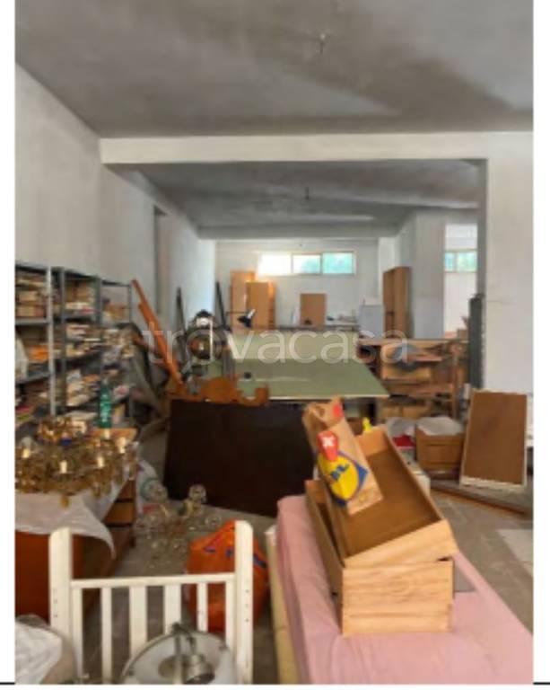 immagine annuncio 7 di 13