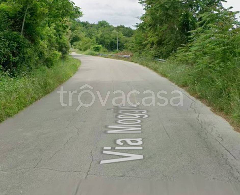 immagine annuncio 11 di 13