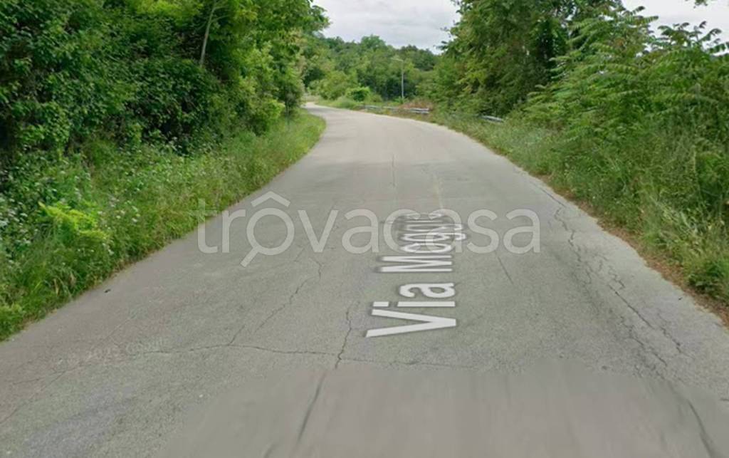 immagine annuncio 12 di 13